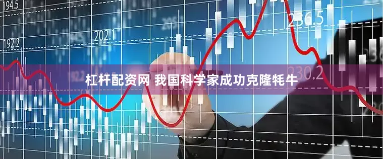杠杆配资网 我国科学家成功克隆牦牛