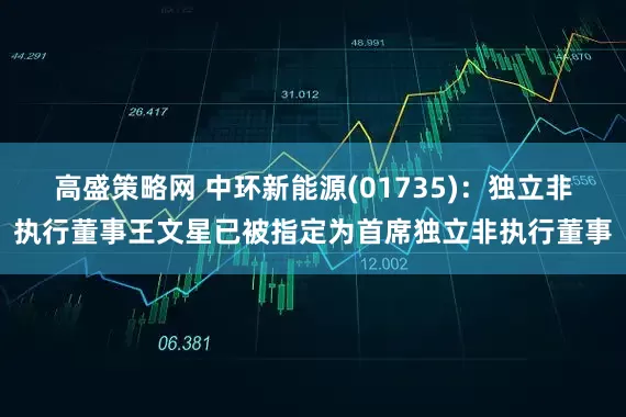 高盛策略网 中环新能源(01735)：独立非执行董事王文星已被指定为首席独立非执行董事