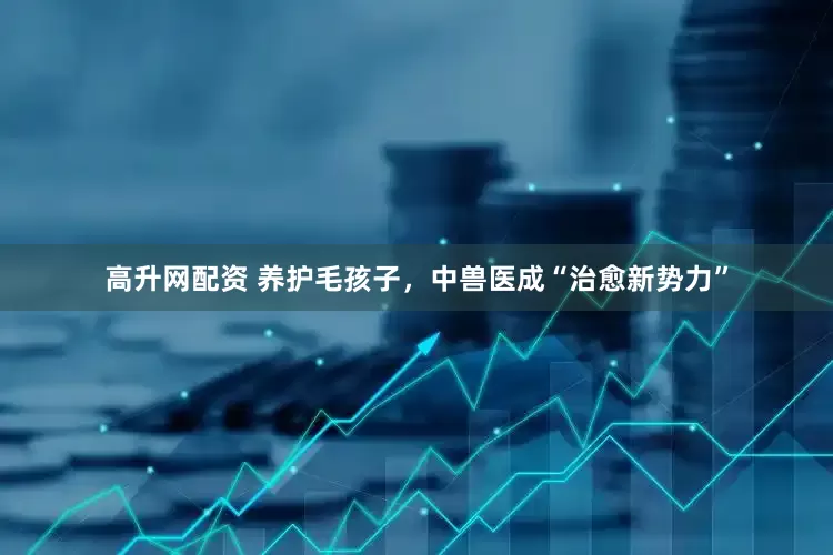 高升网配资 养护毛孩子，中兽医成“治愈新势力”