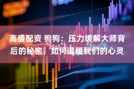 高盛配资 狗狗：压力缓解大师背后的秘密，如何温暖我们的心灵