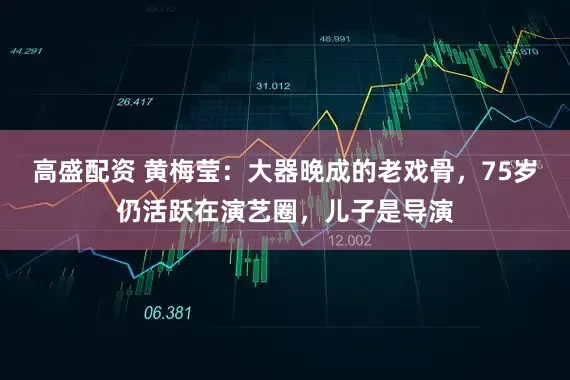 高盛配资 黄梅莹：大器晚成的老戏骨，75岁仍活跃在演艺圈，儿子是导演